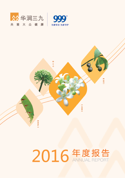 918博天堂(中国)：2016年年度报告