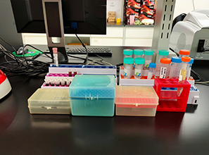 胰腺癌正确治疗，四种类型四种方案