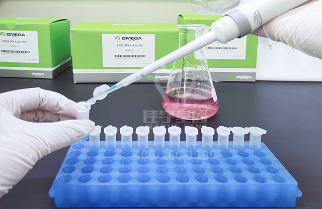 贝斯特全球奢华基因新生儿“耳聋基因解码”筛查