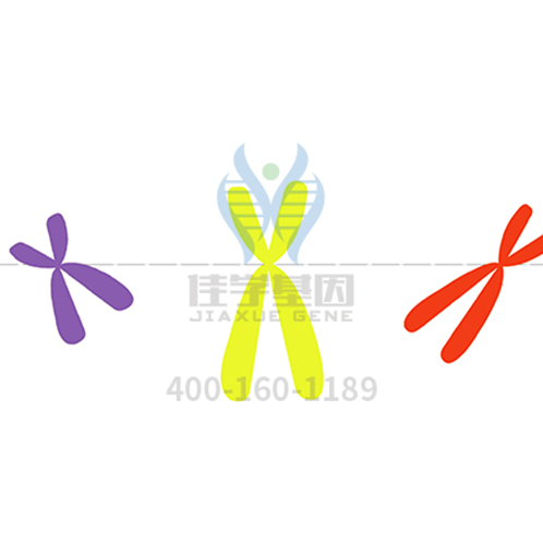 【贝斯特全球奢华基因-基因检测】乳腺癌与BRCA基因