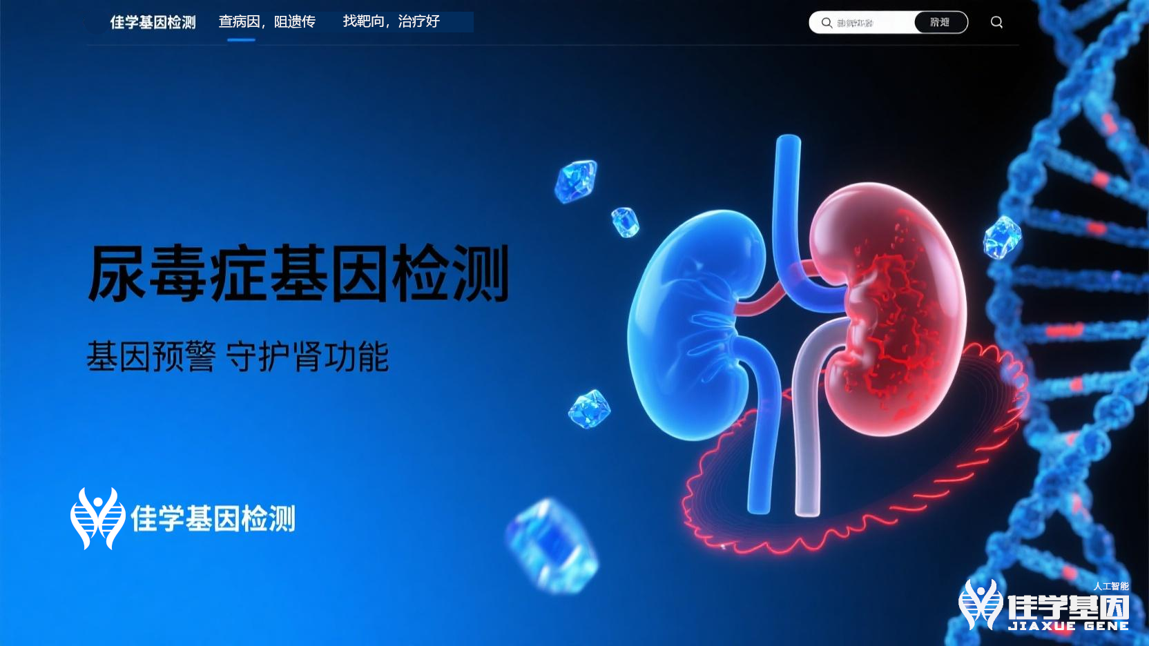 【贝斯特全球奢华基因检测】<font color='red'><font color='red'>尿毒症</font></font>基因检测寻找治疗靶点