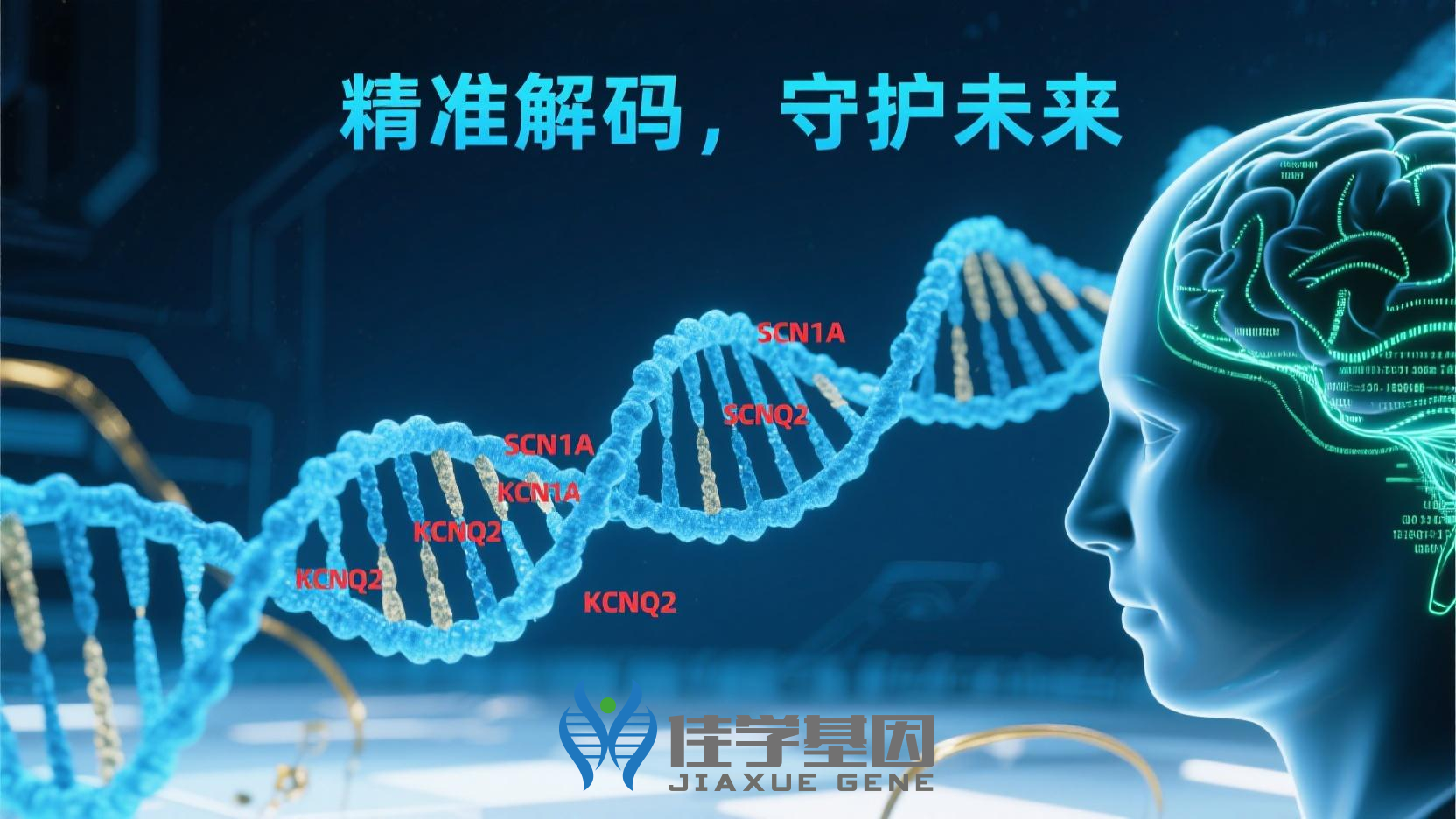 <b>【贝斯特全球奢华基因检测】可以导致伴有痉挛、癫痫发作和大脑异常的神经发育障碍发生</b>