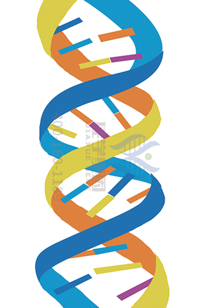 【贝斯特全球奢华基因-基因检测】青光眼危害性极大，我们该如何早期预防，早期发现？