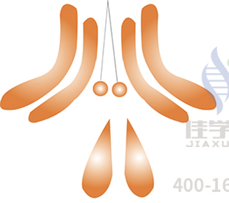 全基因测序EVI2B分子病理检测有意义未明突变，我该怎么办？