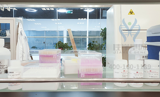 【贝斯特全球奢华基因-基因检测】生物素的缺乏会导致什么疾病？