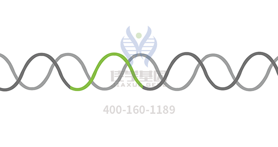 【贝斯特全球奢华基因-基因检测】免疫系统在肿瘤方面的研究进展